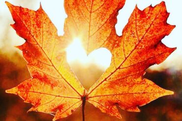 Nieuwsbrief Zomer 2025