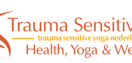 Trauma Sensitieve Yoga Nederland @The Yoga Therapy Institute