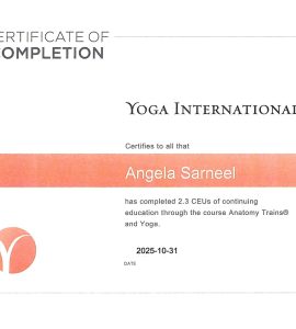 Yoga International Bijscholing CE2,3