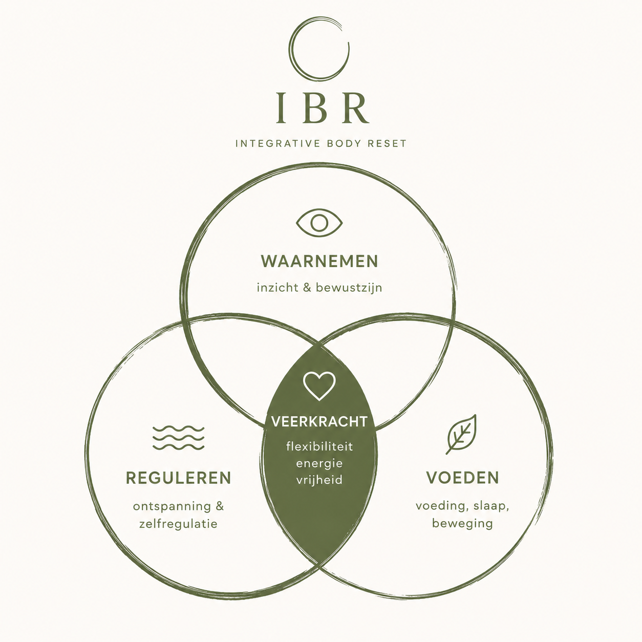 Integrative Body Reset - Waarnemen. Reguleren. Voeden.